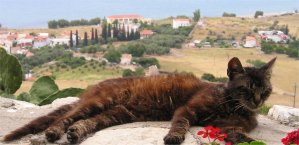 Studying Greek in Greece can be tiring Studying Greek in Greece can be tiring