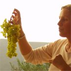 Italian grapes Italian grapes