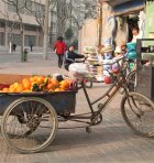 Oranges in Beijing