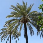 Learn Spanish in Spain with CESA Languages Abroad