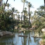 Learn Spanish in Alicante