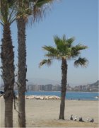Study Spanish in Malaga