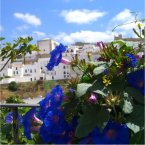 Learn Spanish in Vejer with CESA Languages Abroad