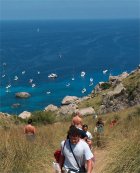 Spanish Language Schools in Palma de Mallorca