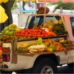 Study French in Sainte Anne