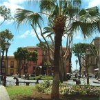 Study Spanish in Tenerife with CESA Languages Abroad