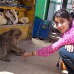 Learn Arabic in Morocco