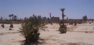 Arabic Language Courses in Morocco