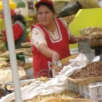 Spansih Language Courses in Ecuador