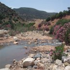 Learn Arabic in Morocco