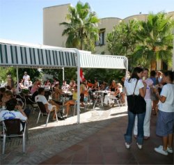 Sun terrace at Spanish school in Malaga Sun terrace at Spanish school in Malaga