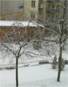 The Campus at Christmas