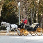 Learn Spanish in Seville