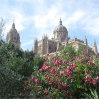 Learn Spanish in Salamanca