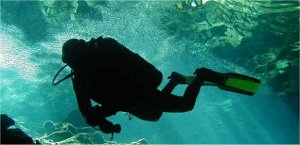 Spanish and Diving Course Spanish and Diving Course