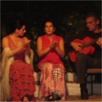 Spanish flamenco show in Granada