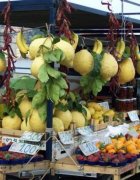 Learning Italian in Sorrento - delicious food Learning Italian in Sorrento - delicious food
