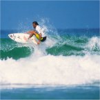 French language courses and surfing