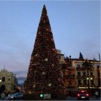 Christmas tree in Piazza Tazzo Sorrento Chirstmas tree in Piazza Tazzo Sorrento