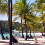 Learn French in beautiful Guadeloupe Learn French in beautiful Guadeloupe