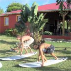 French and Surf course in Guadeloupe