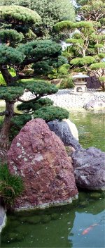 Learn Japanese in Japan