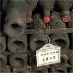 wine cellar in France wine cellar in France