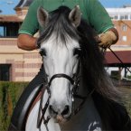 Horse riding in Aix-en-Provence