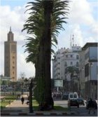 Learn Arabic in Morocco