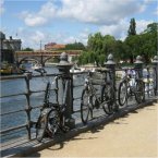 Bikes in the summertime